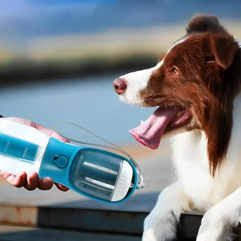 PocketPet 3-in-1 Travel Cup