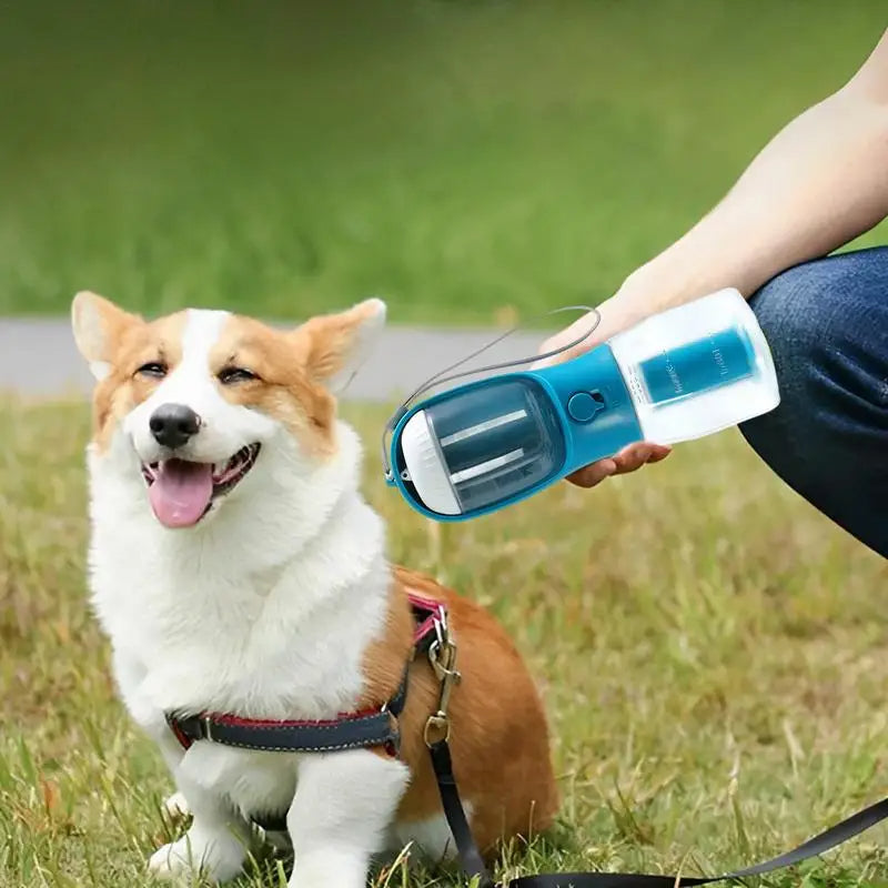 PocketPet 3-in-1 Travel Cup