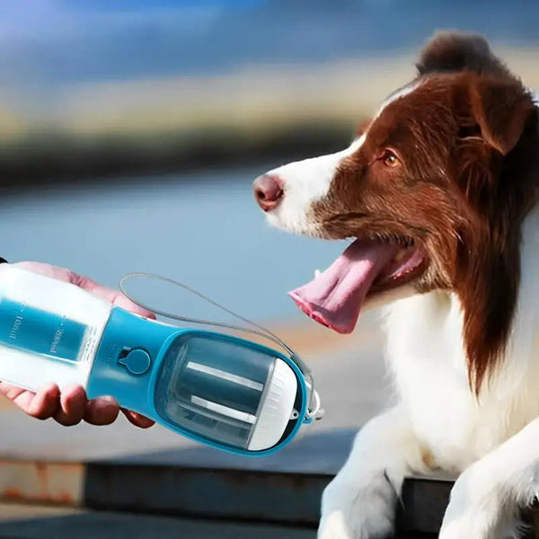 PocketPet 3-in-1 Travel Cup